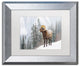Michael Blanchette 'Bighorn in Snow' Art, Silver Frame, White Mat, 14x11