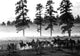 Cowboys Bw, Canvas Giclee