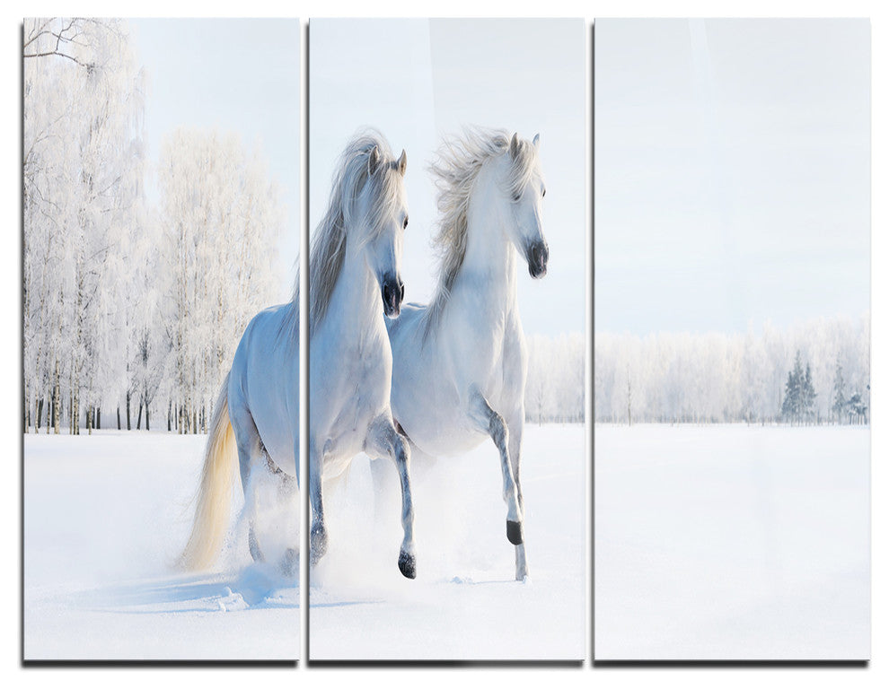 "Two Galloping White Ponies" Photo Metal Wall Art, 3 Panels, 36"x28"