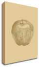 Botanica 4 by Design Fabrikken, Print on Canvas, 20"x28"