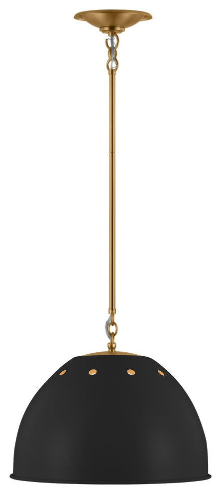 Robbie 1-Light Indoor Large Pendant Ceiling Light, Midnight Black