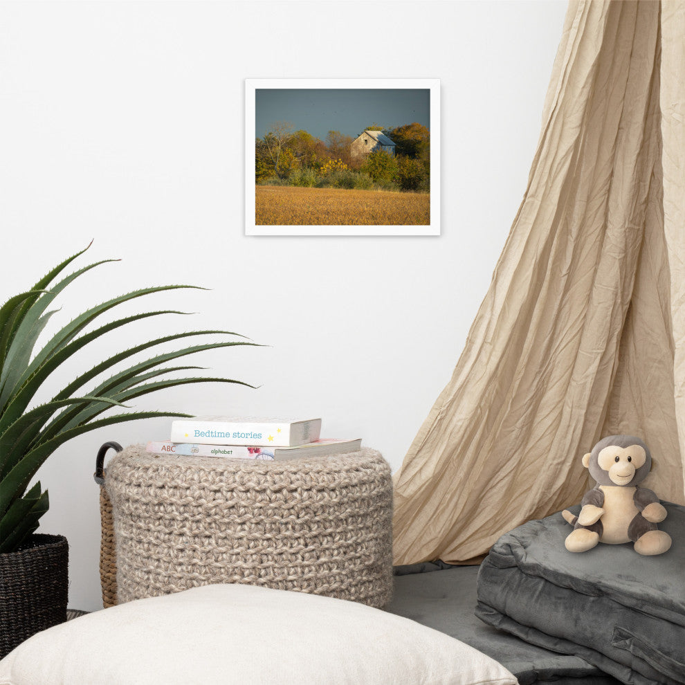 Abandoned Barn In The Trees Framed Photo Paper Wall Art Prints, White, 11" X 14"