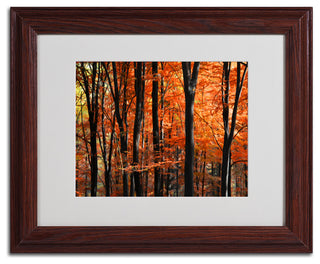 'Indisputable Truth' Matted Framed Canvas Art by Philippe Sainte-Laudy