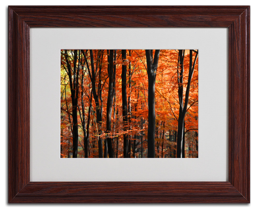 'Indisputable Truth' Matted Framed Canvas Art by Philippe Sainte-Laudy
