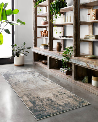 Teagan TEA-08 Area Rug, Ivory/Mist, 11'6"x15'