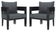 Safavieh Viola Indoor-Outdoor Chair, Set of 2, Black/Grey