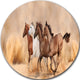 Herd Gallops In Sand Storm, Landscape Photo Round Metal Wall Art, 36"