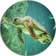 Huge Turtle Swimming, Animal Digital Art Large Disc Metal Wall Art, 23"