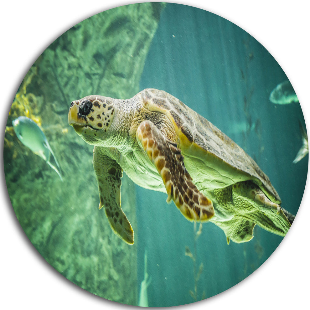 Huge Turtle Swimming, Animal Digital Art Large Disc Metal Wall Art, 23"