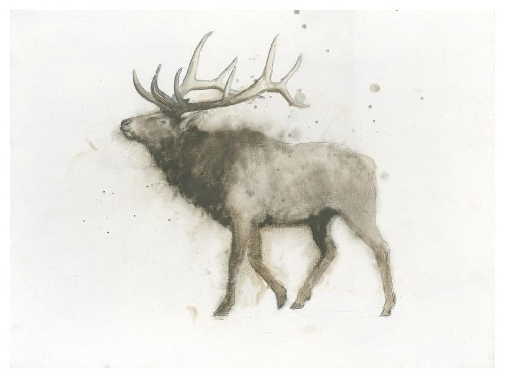 "Elk" Digital Paper Print by James Wiens, 50"x38"