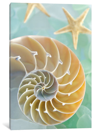 "Seaglass 2 Gallery" by Alan Blaustein, 18x12x1.5"