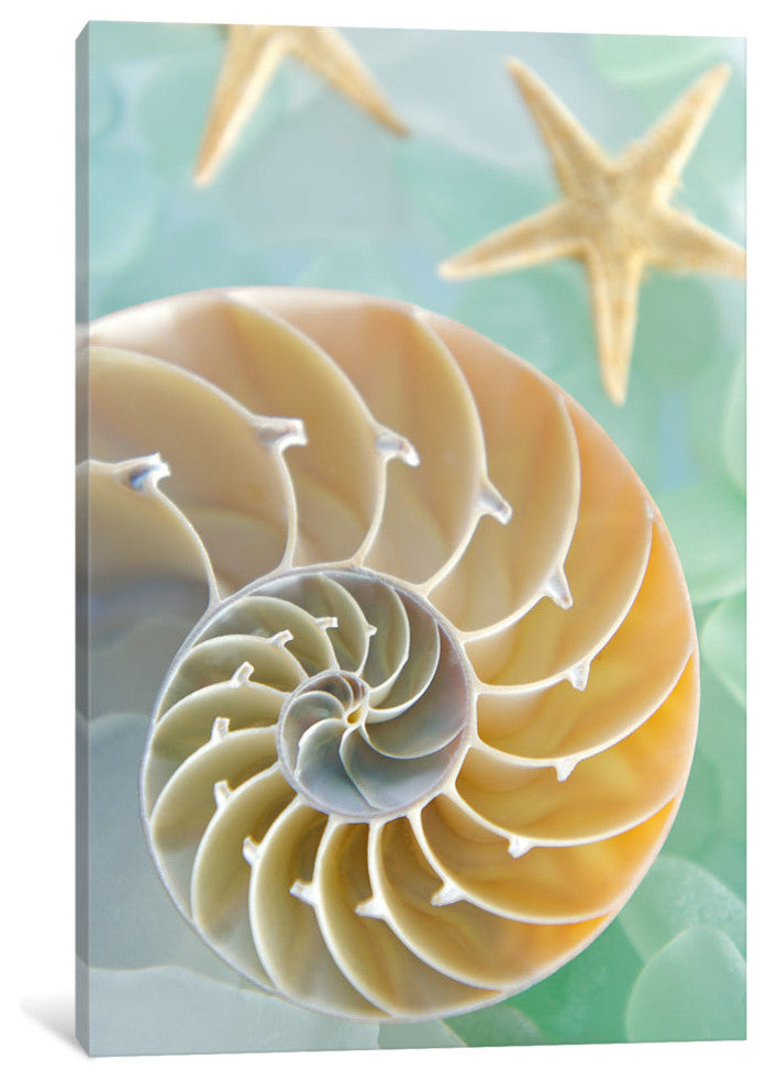 "Seaglass 2 Gallery" by Alan Blaustein, 18x12x1.5"