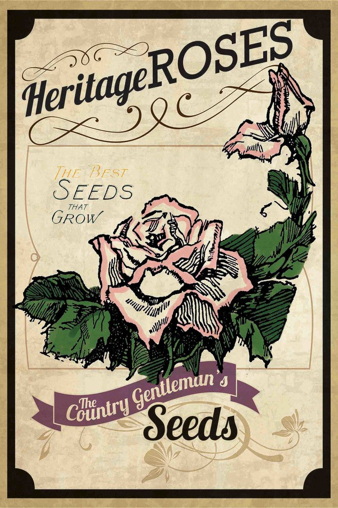 "Flower Packet Roses" Painting Print on Canvas