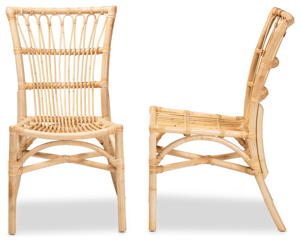 Ammi Modern Bohemian Natural Brown Rattan 2-Piece Dining Chair Set