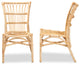 Ammi Modern Bohemian Natural Brown Rattan 2-Piece Dining Chair Set