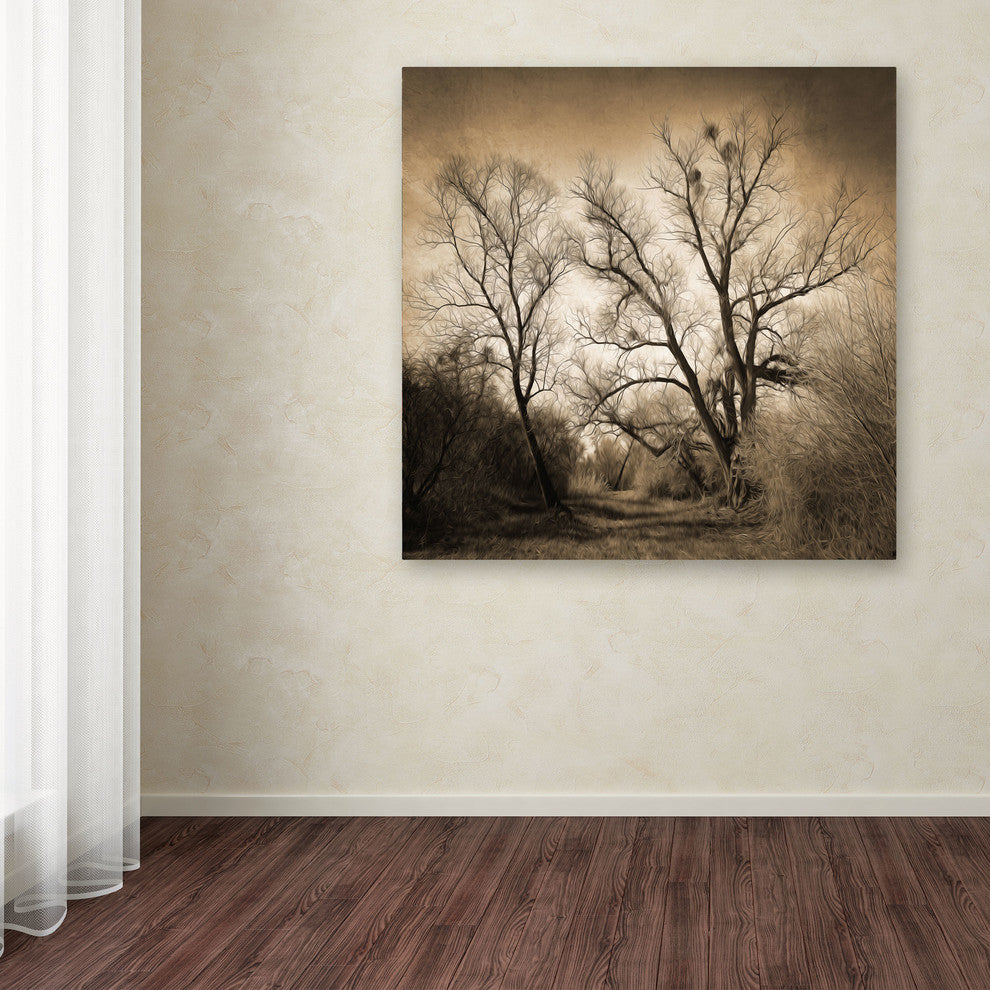 'Sepia Ghost' Canvas Art by Philippe Sainte-Laudy