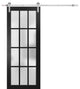 Barn Door 42 x 96, Felicia 3312 Matte Black Frosted Glass, Silver 8' Rail
