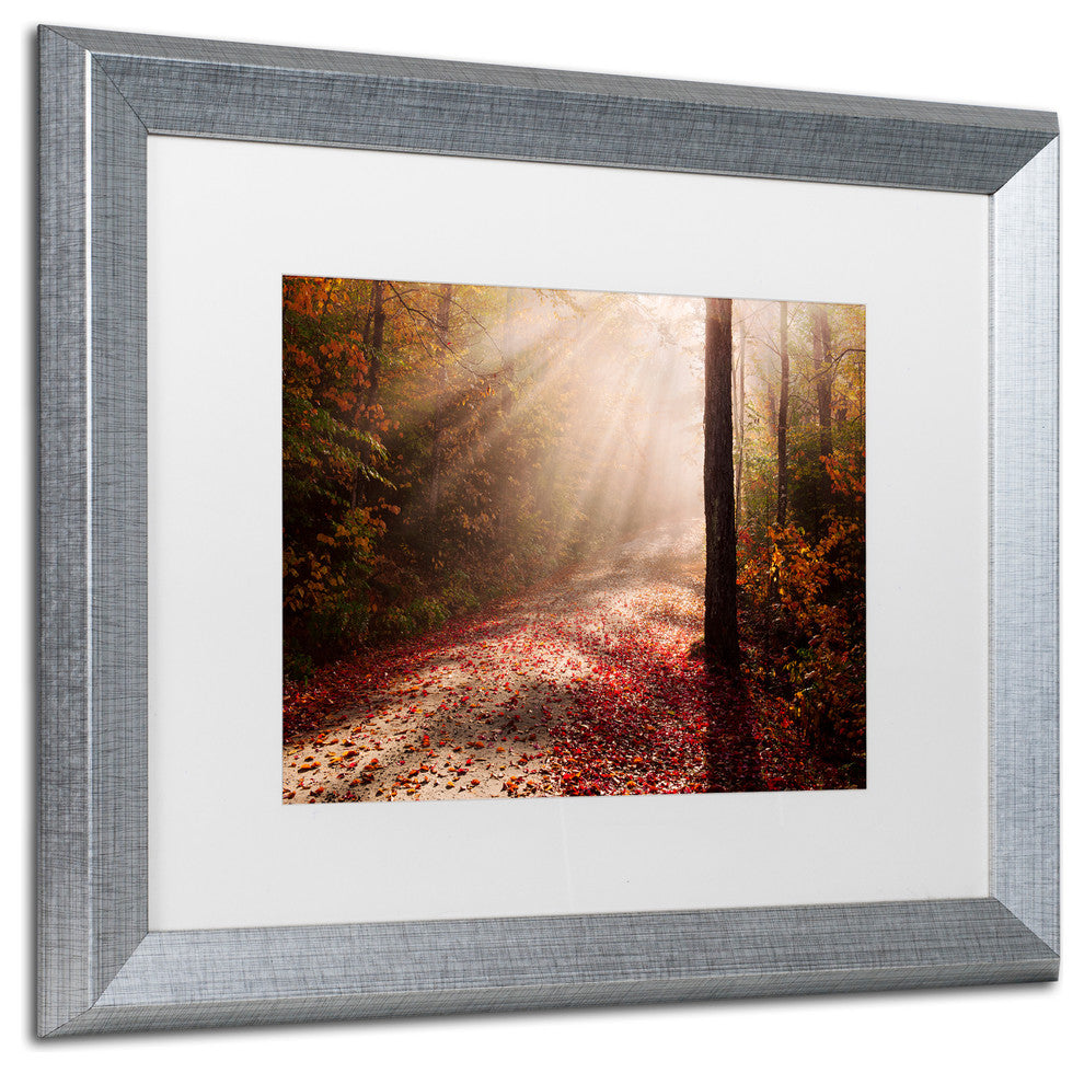 Michael Blanchette Photography 'Light in the Forest' Matted Framed Art, 20x16