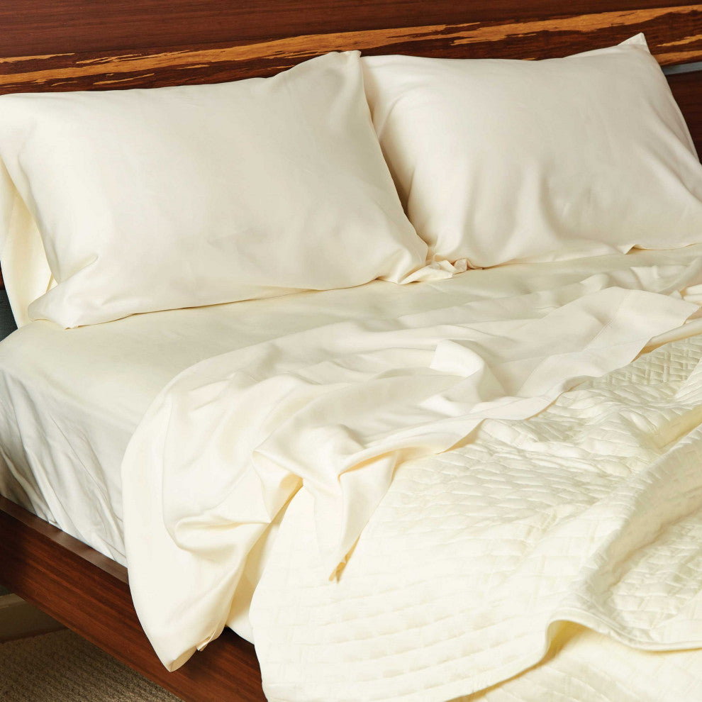BedVoyage Luxury 100% Rayon Viscose Bamboo Pillowcase Set