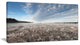 "Autumn Hoarfrost on Grass" Landscape Print Wall Artwork, 32"x16"