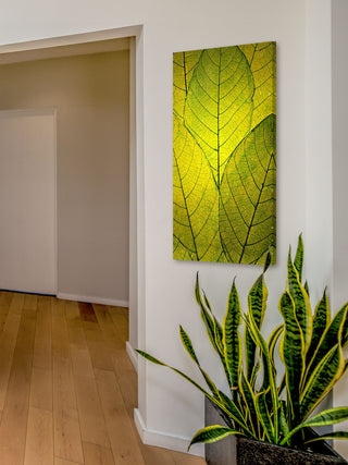 "Every Leaf a Flower" Painting Print on Wrapped Canvas