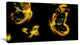 Yellow Fractal Butterflies on Black, Floral Canvas Art Print, 32"x16"