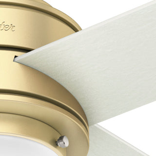 Hunter 44" Hepburn Modern Brass Ceiling Fan With Light Kit and Wall Control