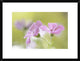 "Pink Melody" Framed Digital Print by Mandy Disher, 26"x20"