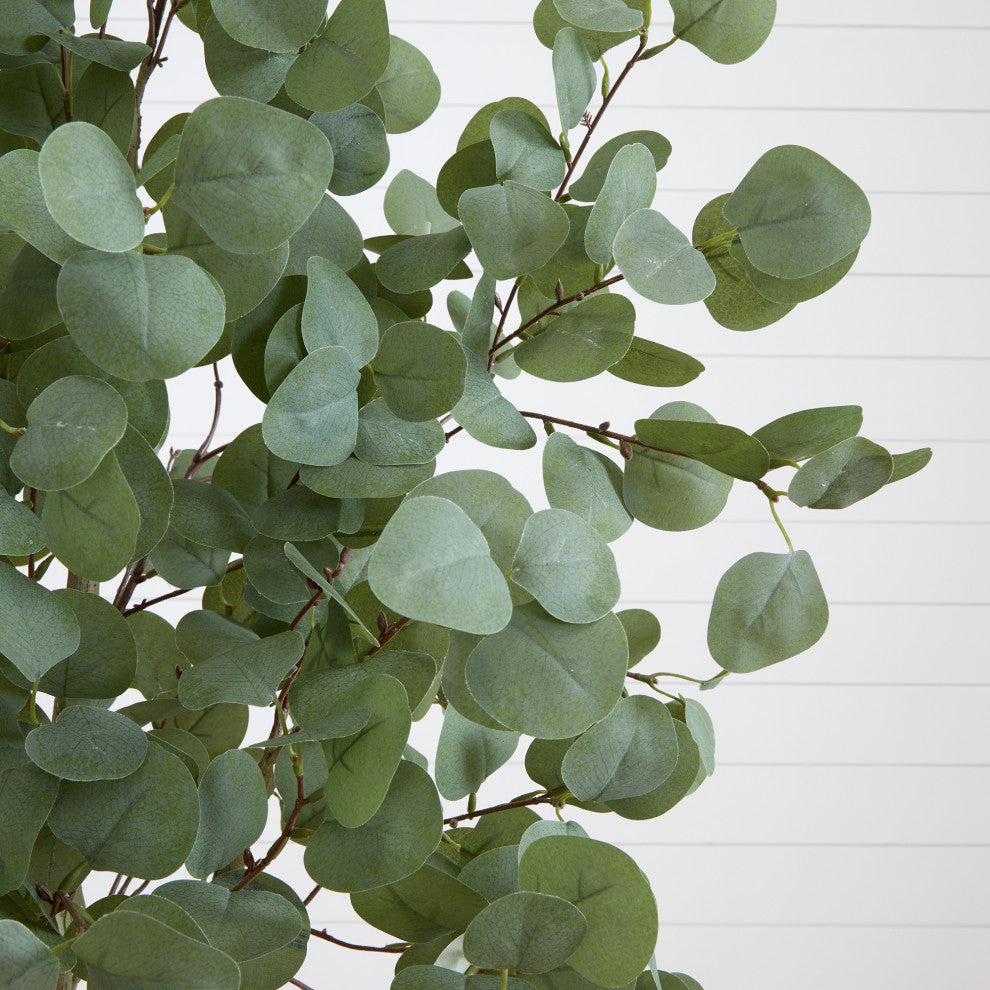 Alternate_lifestyle_close: close-up of leaves in a lifestyle setting.