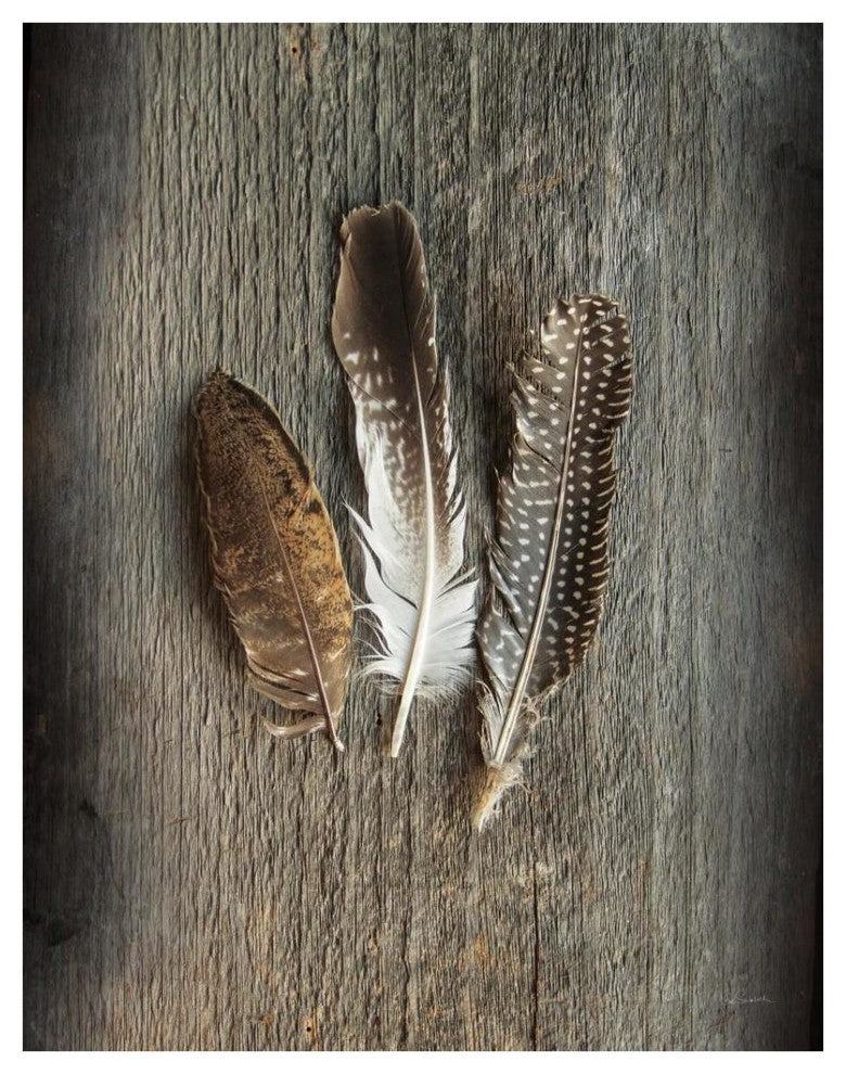 "Feather Collection II" Digital Paper Print by Sue Schlabach, 14"x18"
