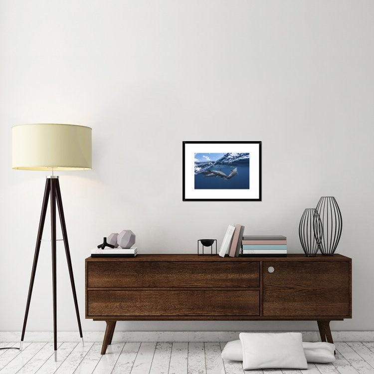"Dolphins" Framed Digital Print by Barathieu Gabriel, 26"x20"