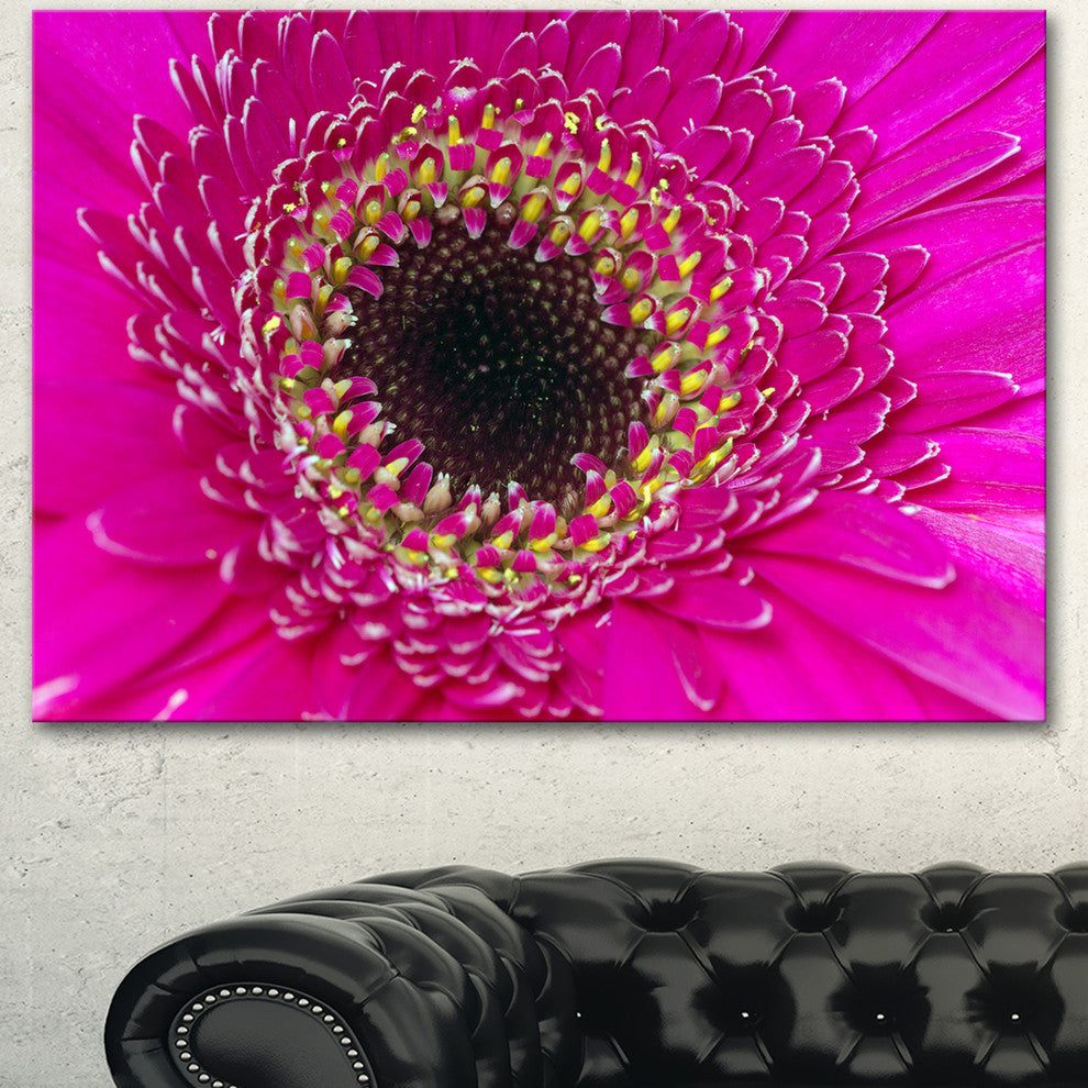 Center of Gerbera Flower Close up, Flowers Canvas Wall Artwork, 40"x30"