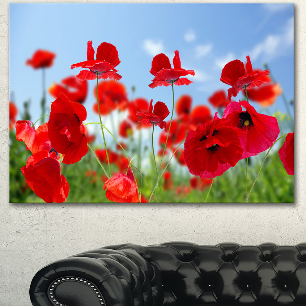 Close Up of Amazing Poppy Flowers, Floral Canvas Art Print, 40"x30"