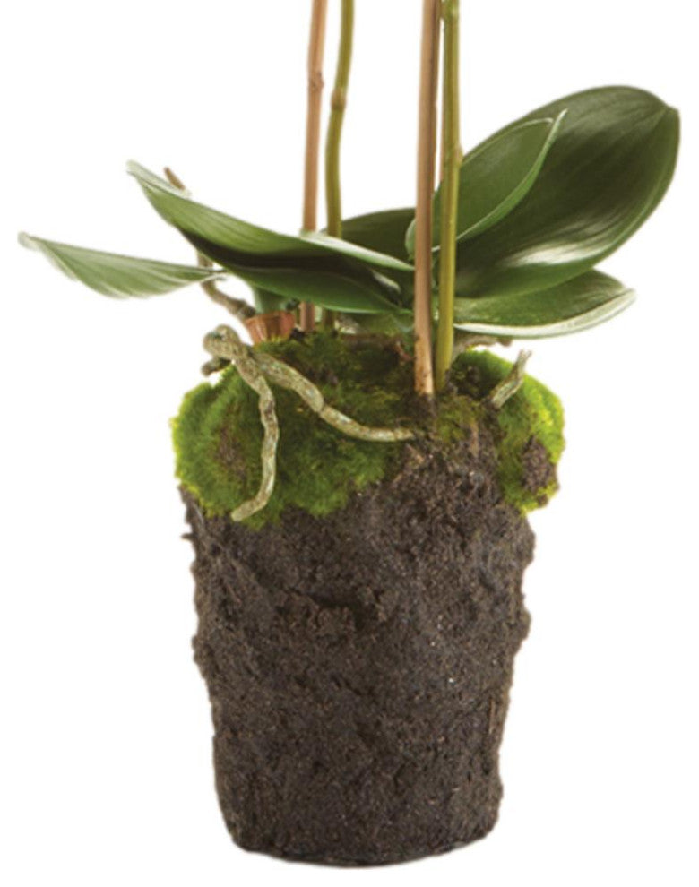 Luxe 20 in Tiny White Phalaenopsis Orchid Faux Flower Artificial Plant Drop In