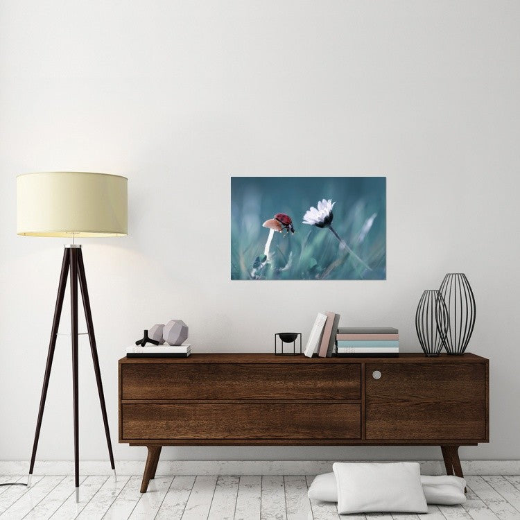 The Story Of The Lady Bug, 36"x24"