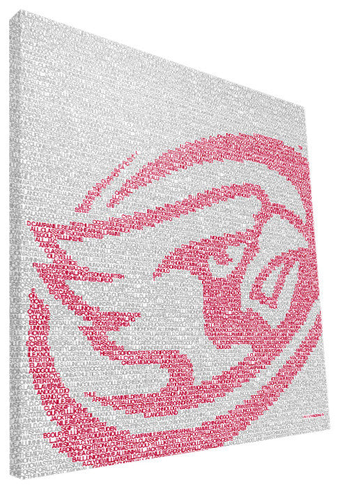 IWS Cyclones Typo Canvas Print, 16"x16"
