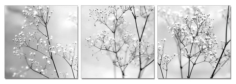 HomeRoots 24" Canvas 3 Panels Photo