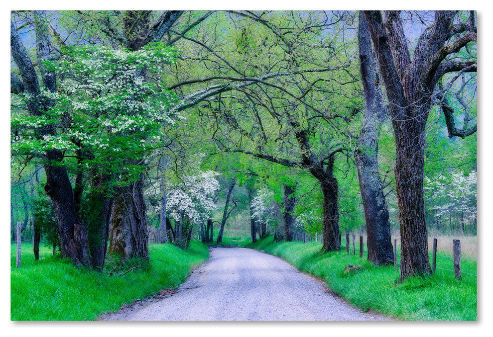 Michael Blanchette Photography 'Cades Cove Lane' Canvas Art, 32"x22"