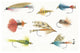 "Gone Fishin I" Digital Paper Print by Elyse DeNeige, 26"x18"