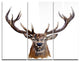 "Deer Head in Front Illustration" Glossy Metal Wall Art, 3 Panels, 36"x28"