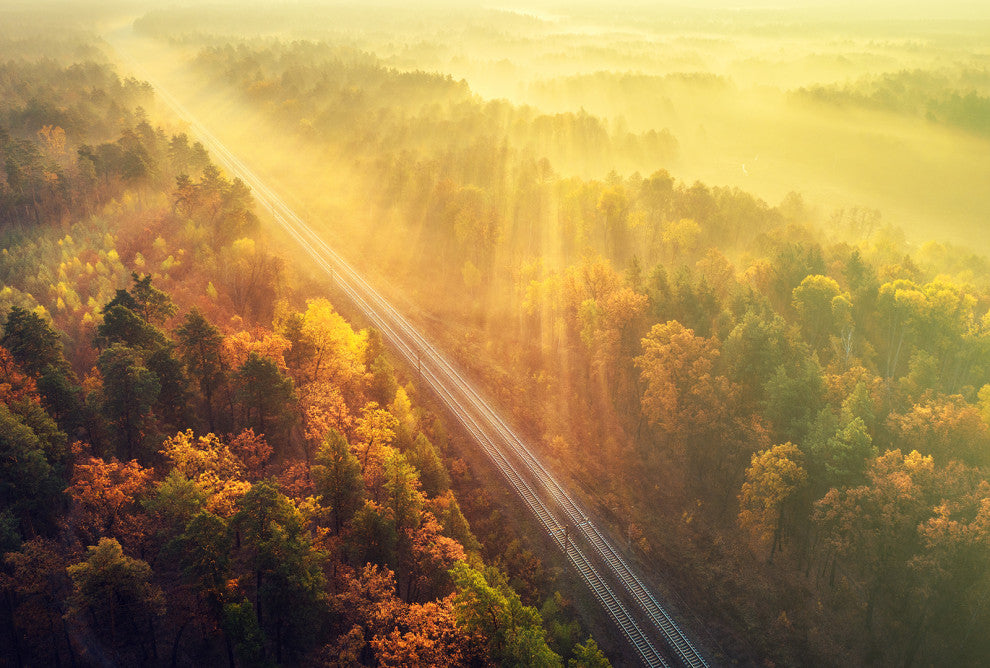 Sunrise Railroad Misty Forest Golden Haze Landscape Photo Canvas Art Print, 24" X 36"