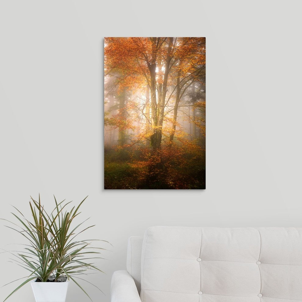 "Alone in the Fog" Wrapped Canvas Art Print, 16"x24"x1.5"