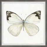 "Rainforest Butterfly" Framed Painting Print, 18x18