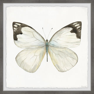 "Rainforest Butterfly" Framed Painting Print, 18x18