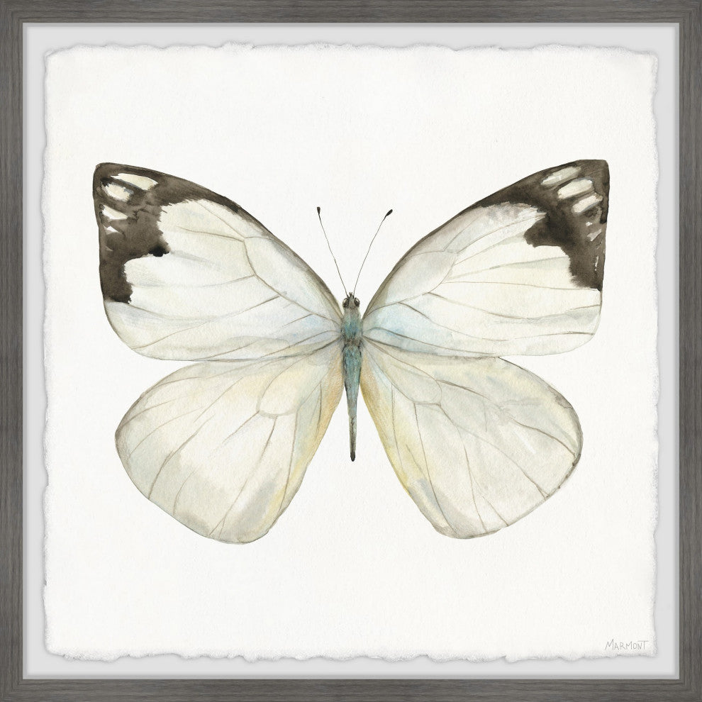 "Rainforest Butterfly" Framed Painting Print, 18x18