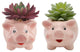 Faux Succulent In 4.8" Small Pink Pig  Ceramic Planter,Set Of 2