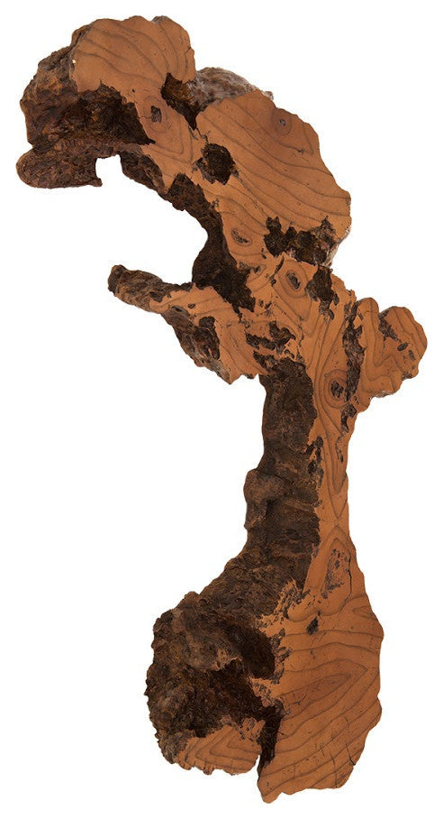 Burled Root Wall Art, Faux Bois
