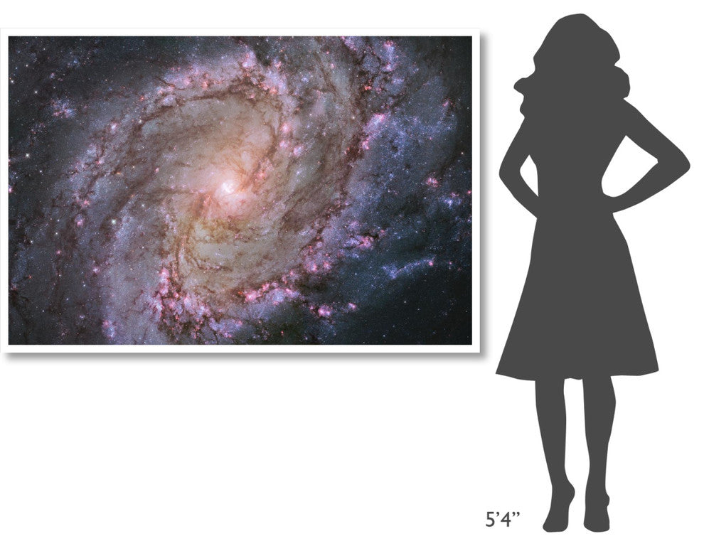 "M83 - Spiral Galaxy" Digital Paper Print by NASA, 62"x42"