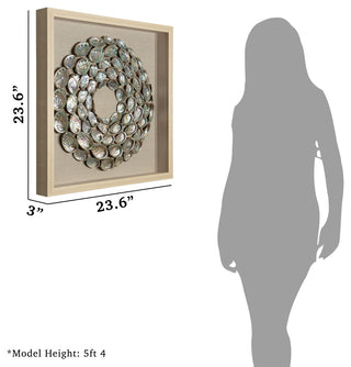 Abalone Shell Rings Shadow Box Wall DÃ©cor