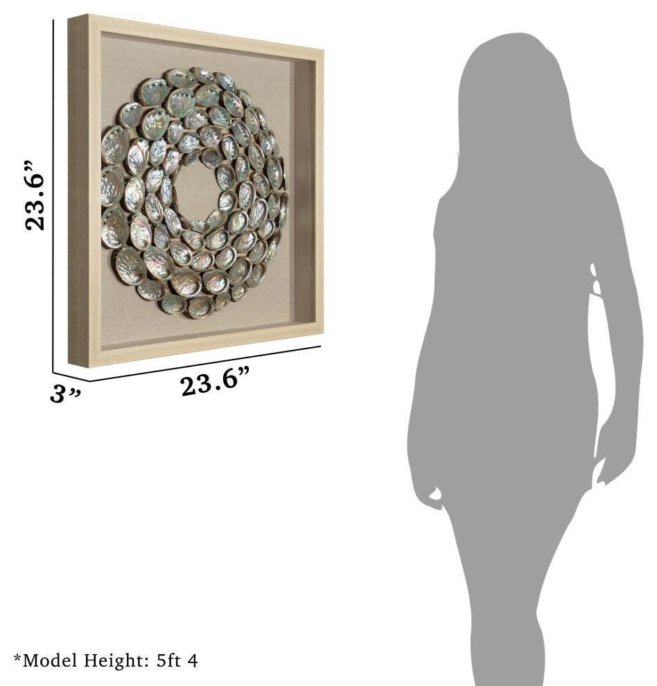 Abalone Shell Rings Shadow Box Wall DÃ©cor